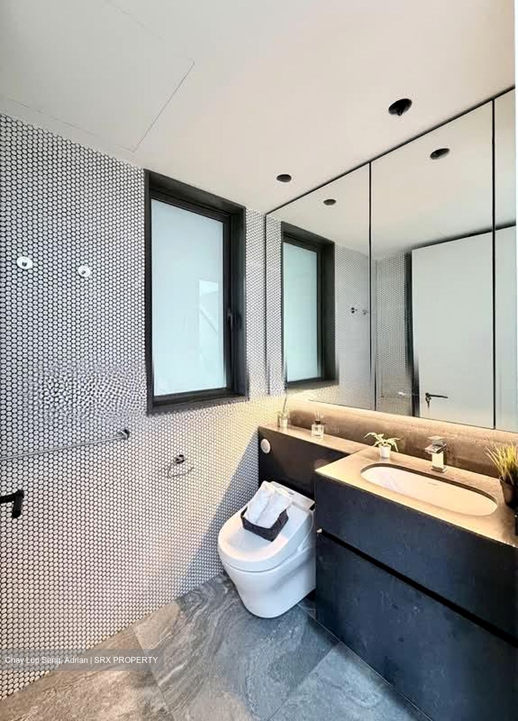 10 Evelyn (D11), Apartment #578173841